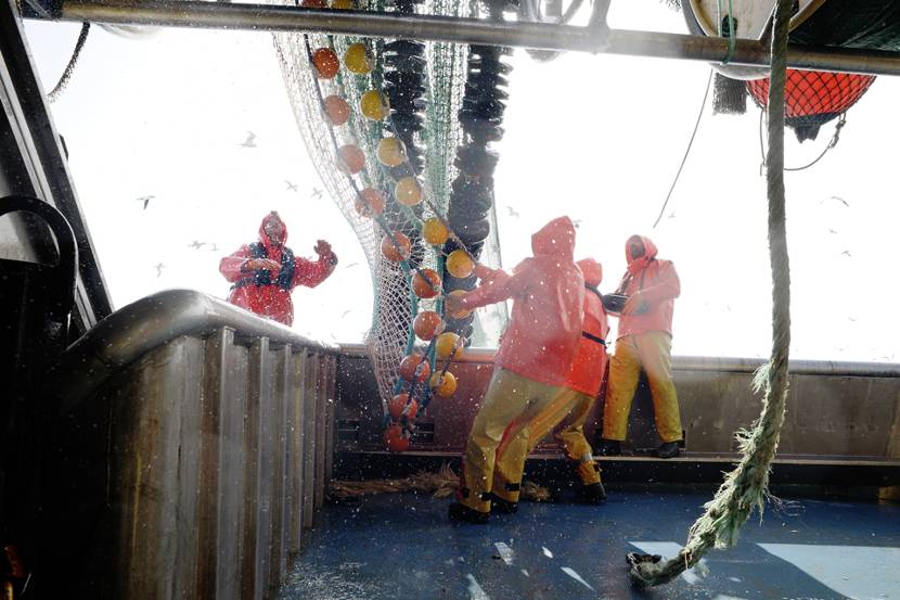 Netten binnen halen aan boord van vissersboot