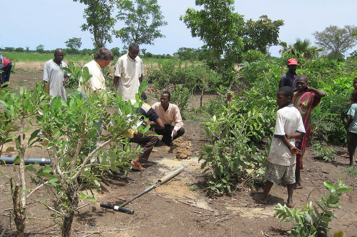 Een landbouw- en onderwijsproject in Ghana waar Aeres Hogeschool en Eijkelkamp Soil & Water bij betrokken zijn