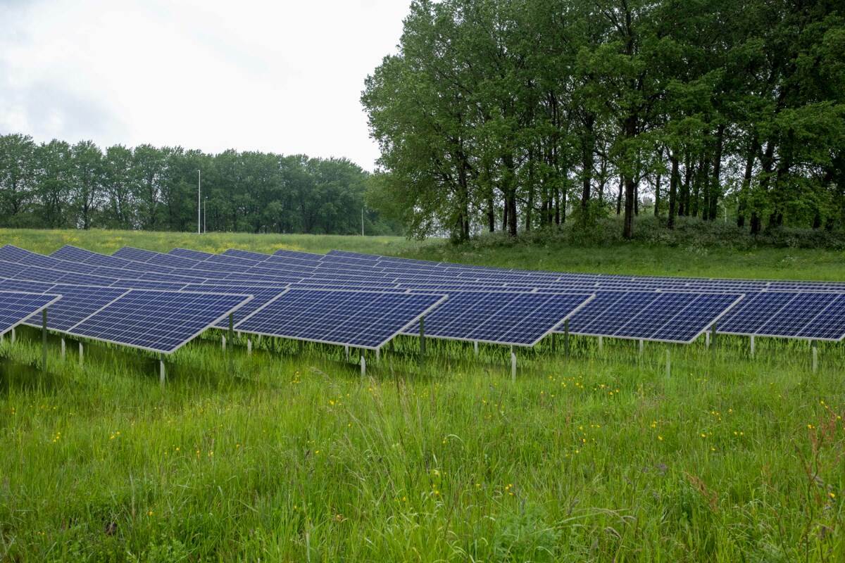 Toekomstige zonnepanelen bij Project Zon langs de A7 (OER)