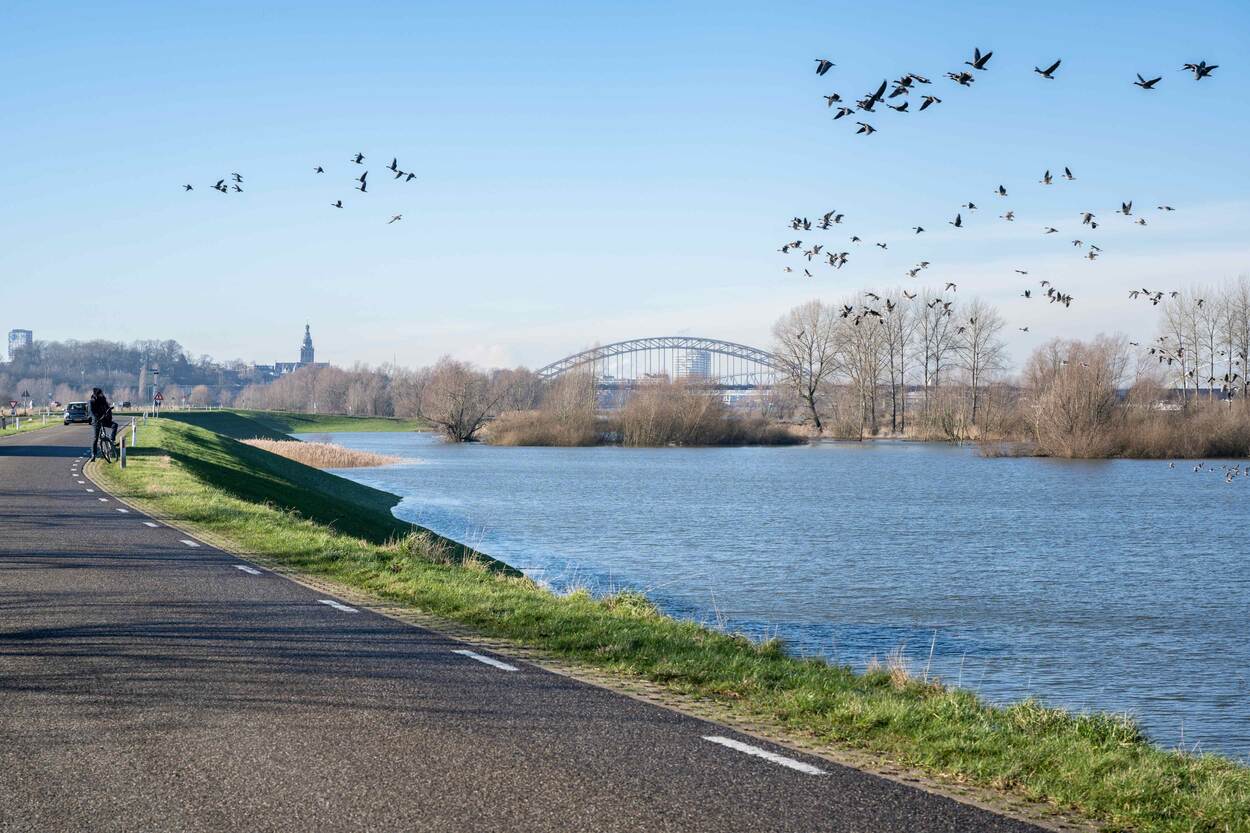 Dijkweg en rivier de Waal dichtbij Nijmegen