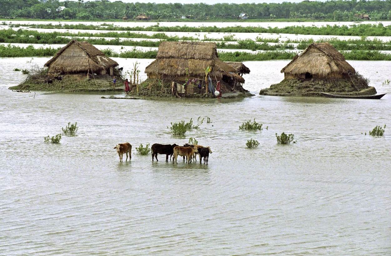 Ondergelopen akkers en huizen langs de Golf van Bengalen, Bangladesh