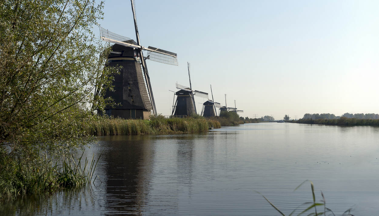 Vijf molens langs het water in Kinderdijk