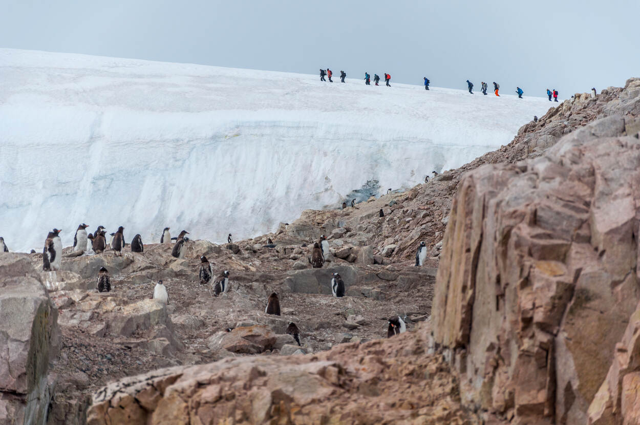 Gletsjerwandeling Neko Harbour Antarctisch schiereiland
