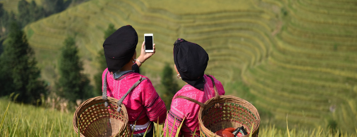 Women in a field in China