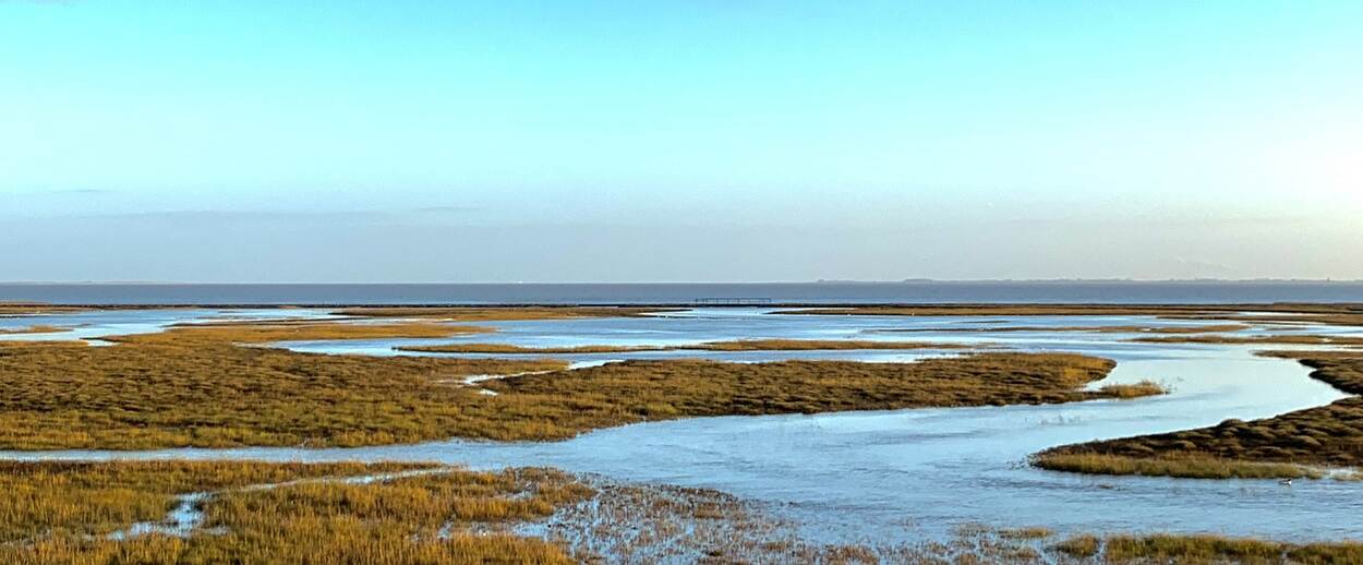 Landscape photo of the Waddenzee