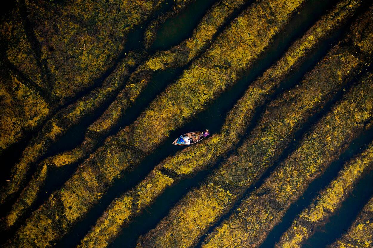 aerial view of a boat