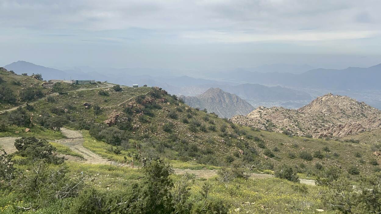 Taif, Al Hada Mountains