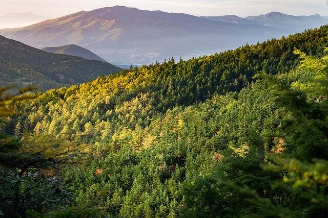 Lookout of mountains and forest