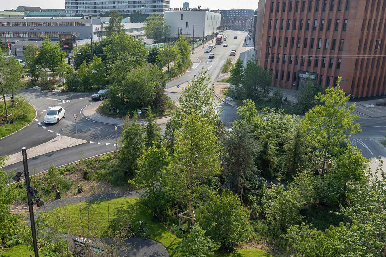 Nieuwe groenstructuur in de wijk Skt Kjelds Plads (Kopenhagen)