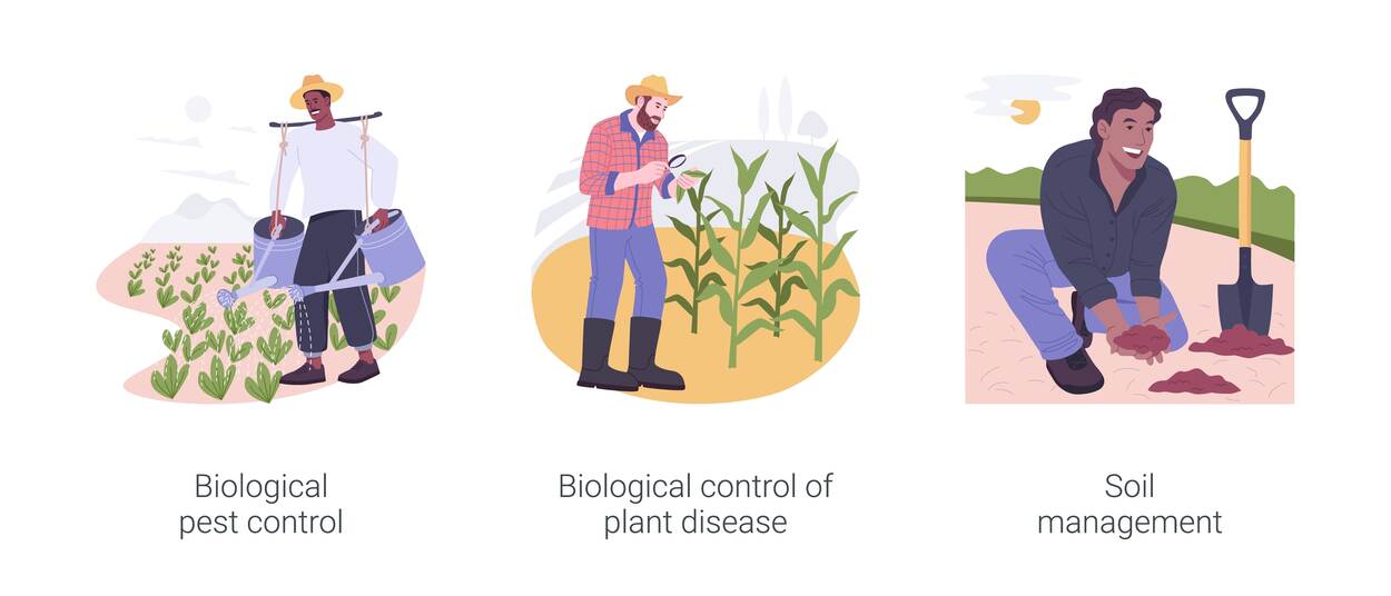 Biological pest control, plant disease management, soil health in modern agriculture, harvest protection
