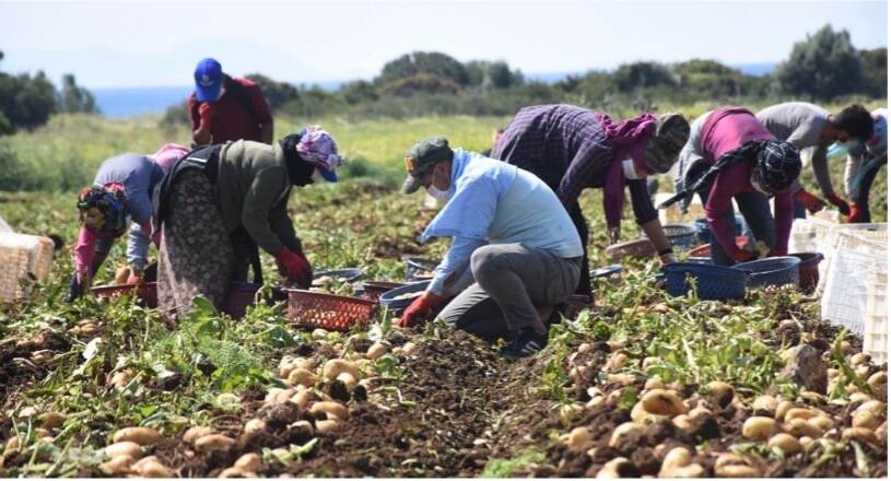 Turkiye has a long history of farming customs and traditional agricultural practices, which are still used by many farmers today.