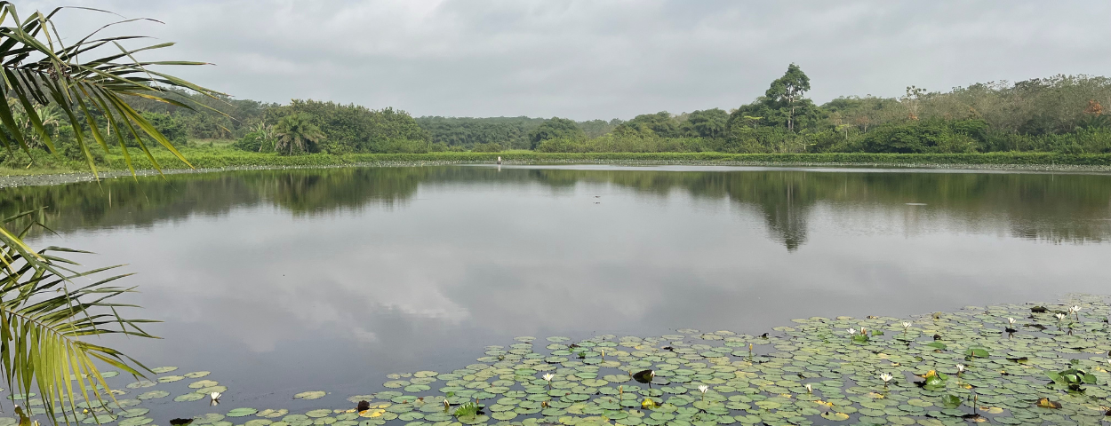 Cote d'Ivoire landscape water