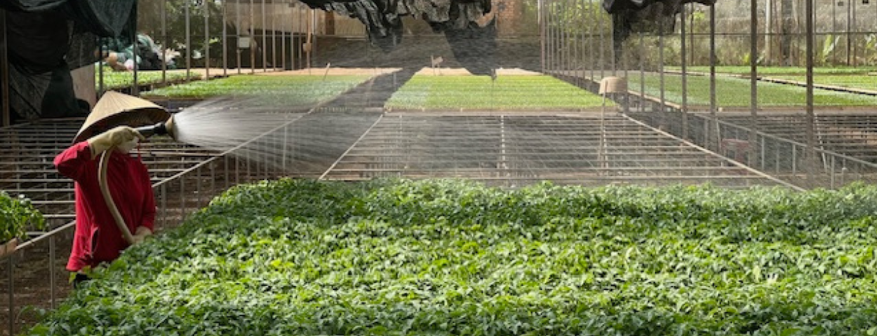 farmer spraying water