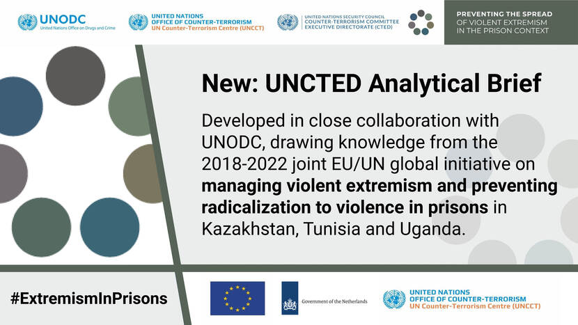 Infographic van het Violent Extremist Project door de VN en de EU