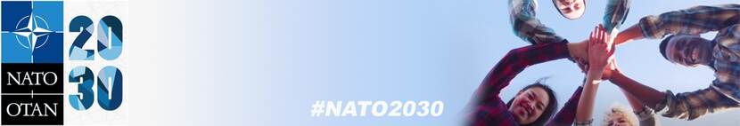 Banner NAVO2030