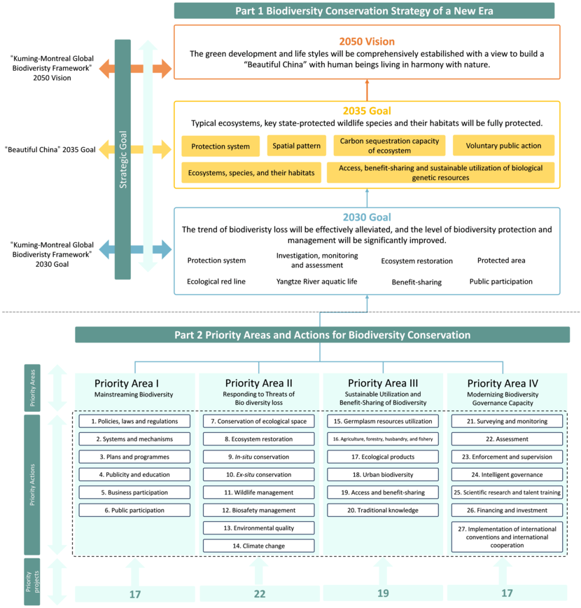 China's National Biodiversity Strategy and Action Plan Framework