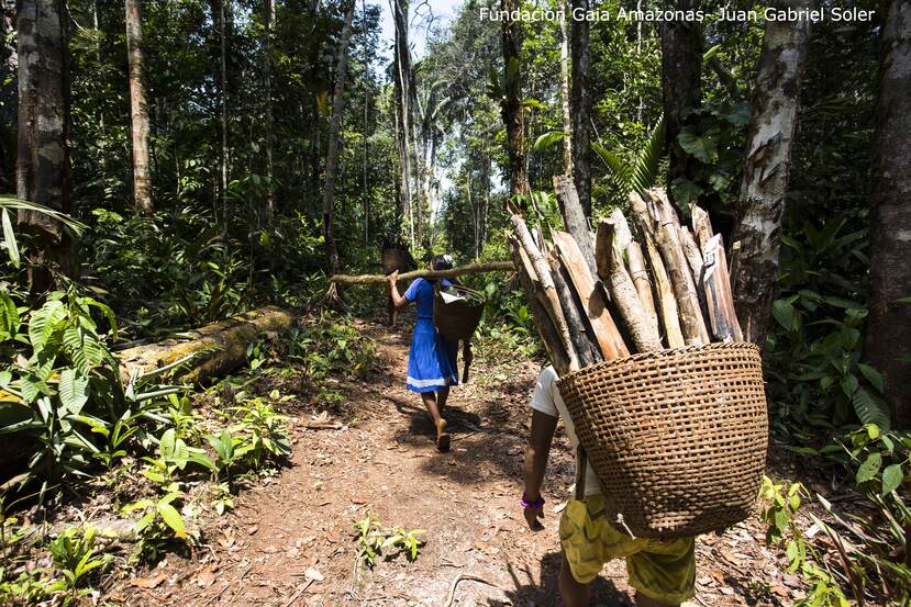 Locals walking with wood in baskets through forest