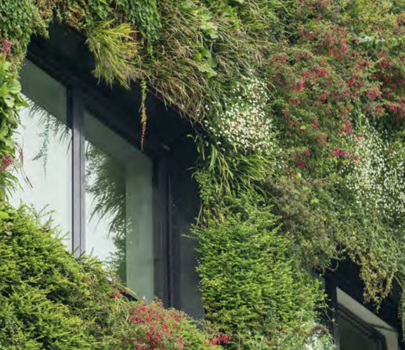 Close-up window with plants growing around it