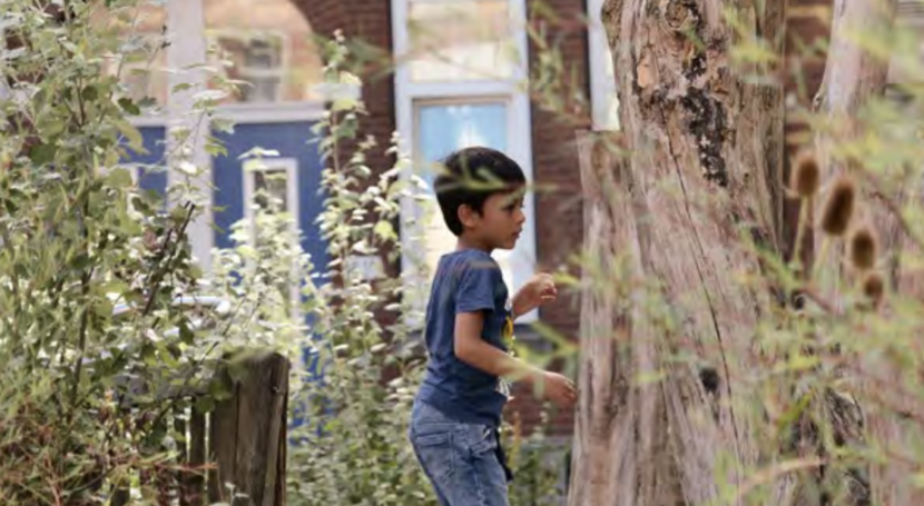 Little boy surrounded by wood and greenery