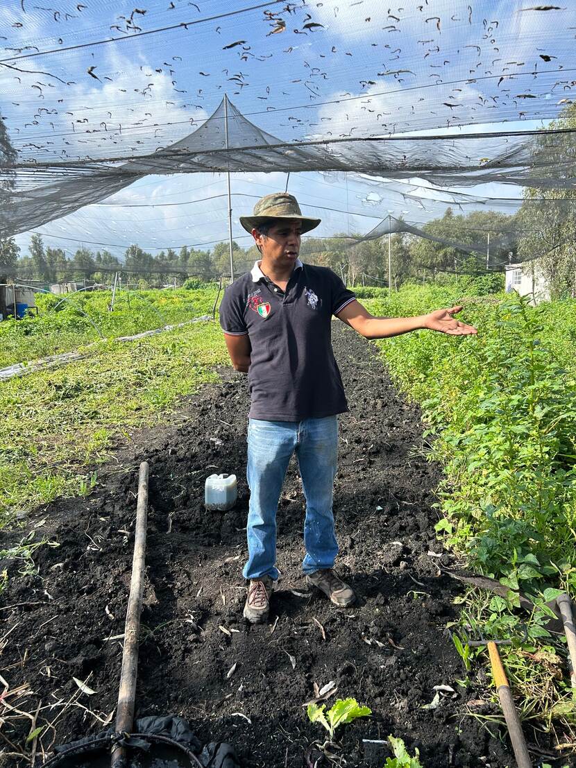 Mexican Traditonal Grower at a Chinanpa