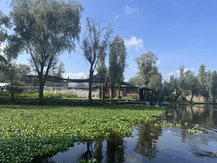 Overview of a Chinampa from the canal