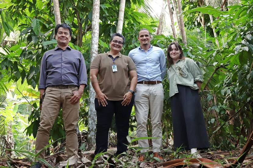 From left to right: Agricultural Advisor Ramon Gerrits, Sheila de Souza (EMBRAPA), Nature and Biodiversity Counselor Emiel Mulder and Justine van den Bergh (Dutch Embassy in Brazil) during a visit of an agroforestry system managed by research institute EMBRAPA.