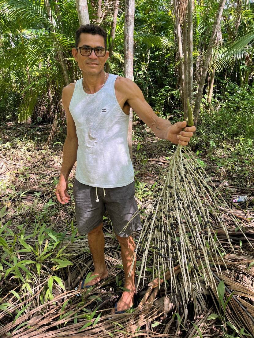 Joel Santos with a cluster of açai berries from his managed forest