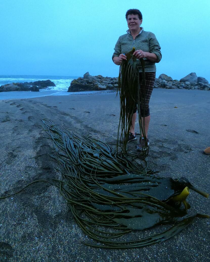 Person standing next to algae beds