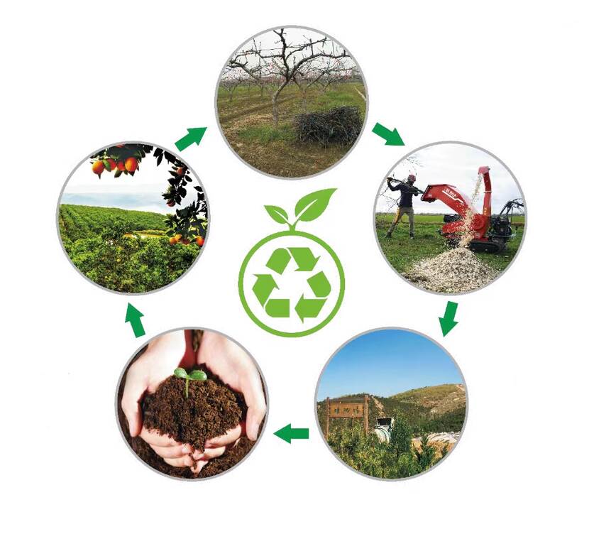 graphic of the Circulation: From Waste to Resource
