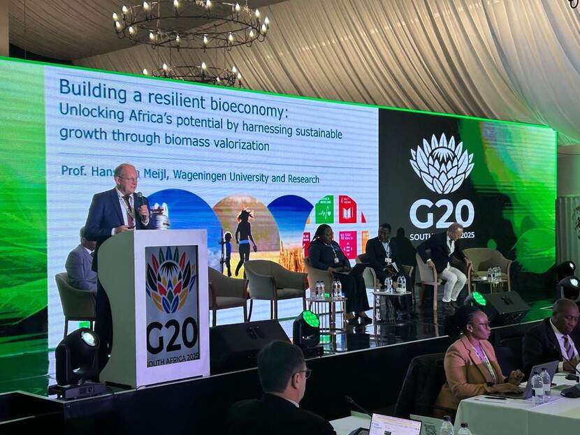 Hans van Meijl presenting at G20 South Africa