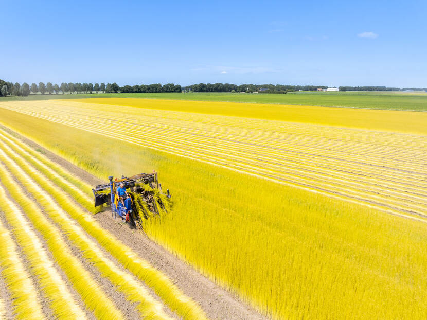 aerial shot of a machine harvesting wheat