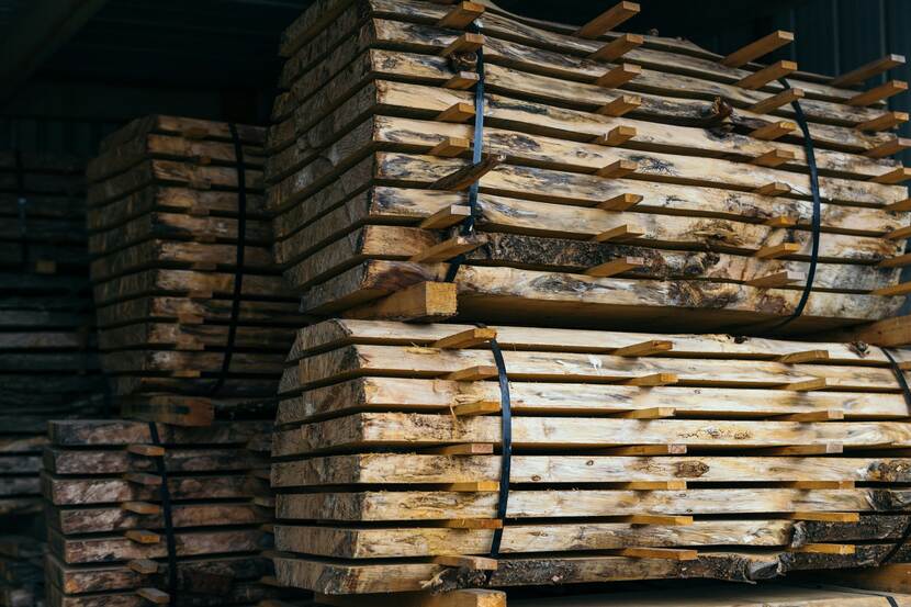 Stacked timber logs at a sawmill ready for recycling into plywood and lumber