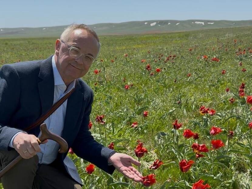 Agricultural counsellor Arie Veldhuizen shows the wild tulips in Zhambyl region