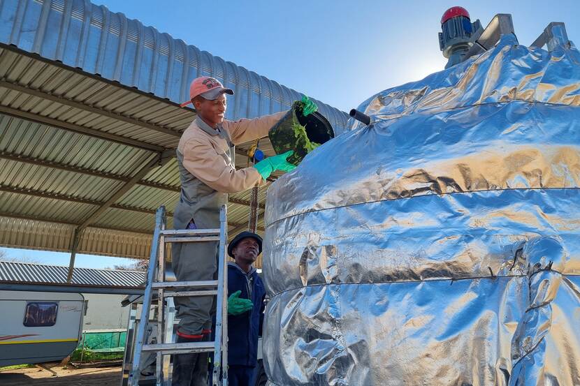 a person holding a bucket, scooping sargassum into a biodigester