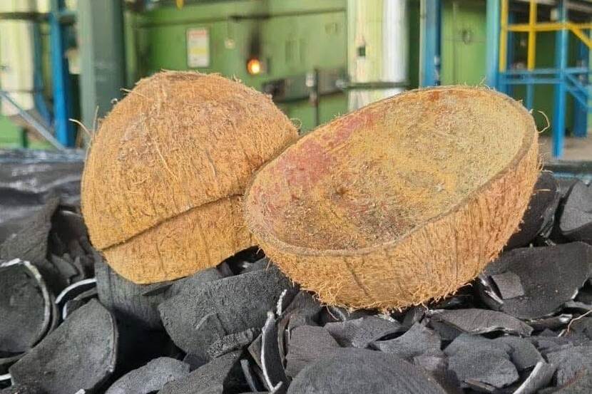 a closeup of ccoconut shells on a pile of charcoal