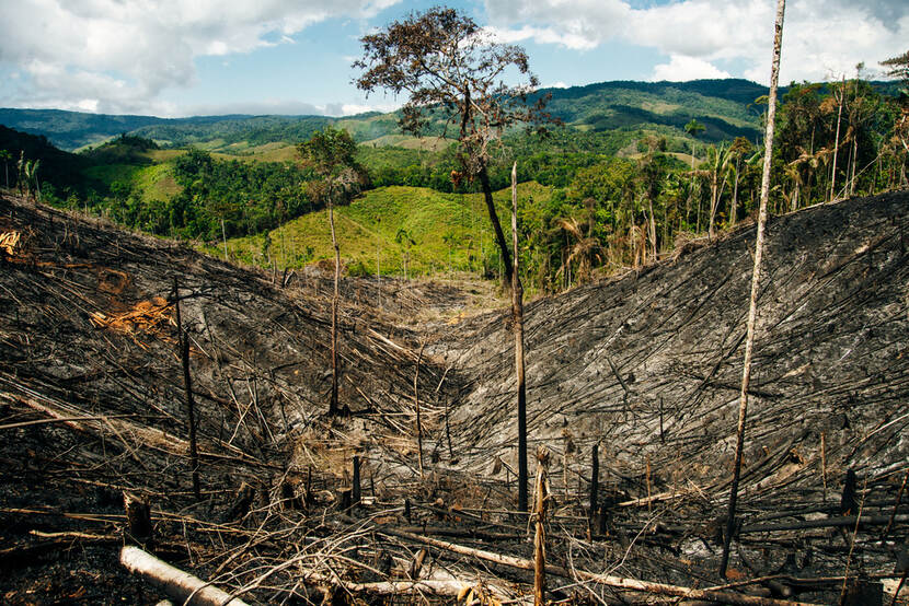 Deforestation Colombia
