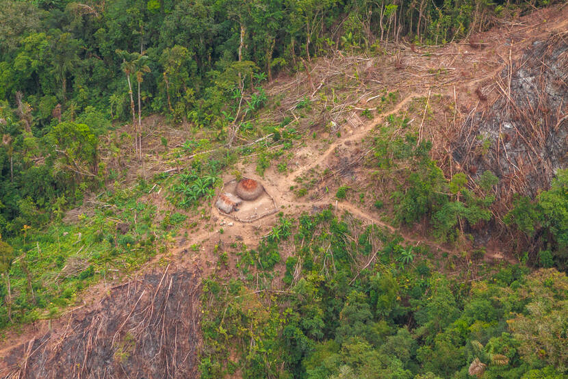 Deforestion Colombia 2