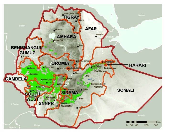Ethiopian coffee regions map