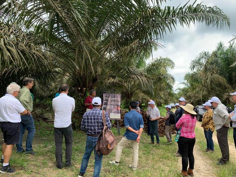 SustainPalm field visit to one of the biggest palm oil companies in Indonesia