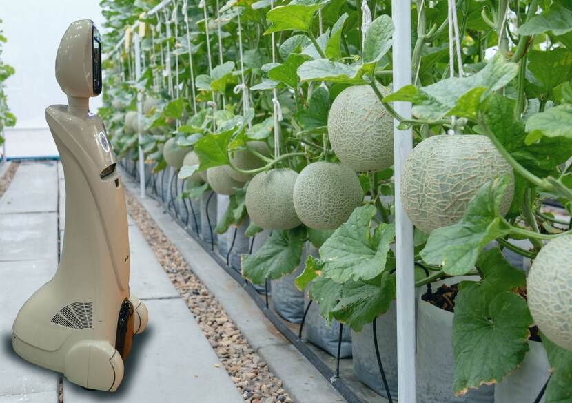 Smart farming Belgium