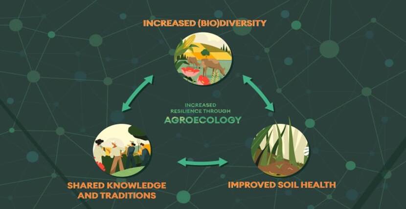 Agroecology Info Pool Home