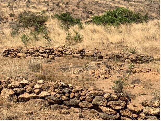 Slope visible from the side with the stone bunds clearly visible. Taken during dry season with vegetation still clearly present