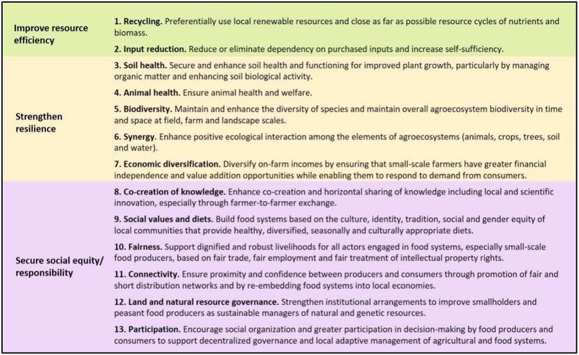The 13 principles of agroecology according to the High Level Panel of Experts (HLPE) on Food Security and Nutrition of the Committee on World Food Security