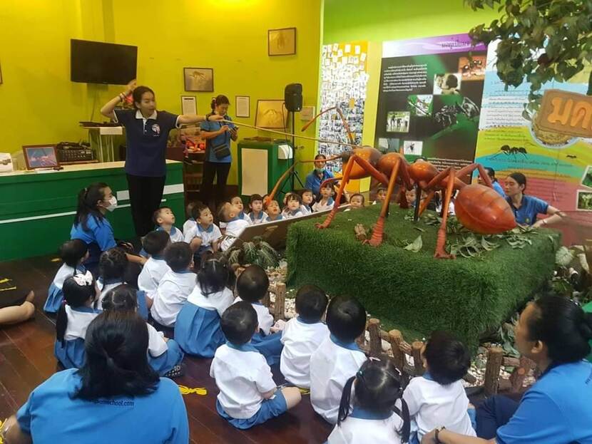 Students visit ant museum of Thailand at Kasetsart University to learn the role of ants in agro-ecology