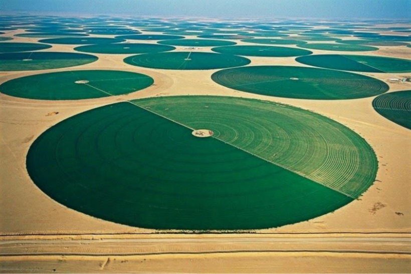 Irrigated agriculture in the desert in Saudi Arabia