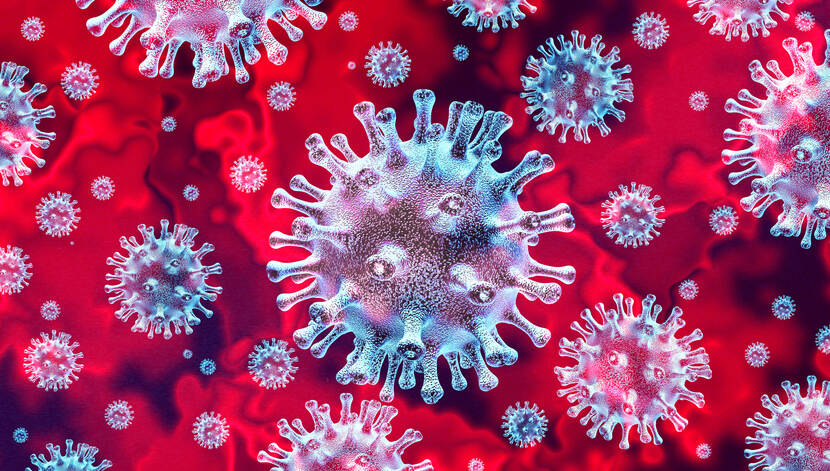 Afbeelding van het coronavirus