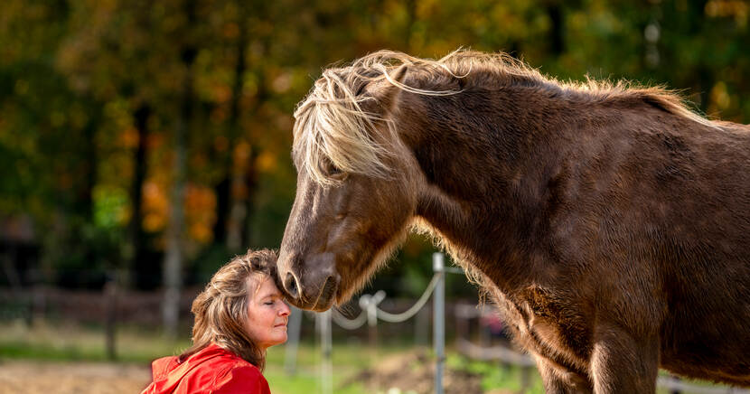 Ingrid Claassen rust met gesloten ogen met haar hoofd tegen het hoofd van haar paard