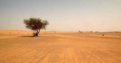 De woestijn in Niger