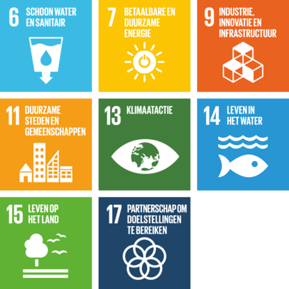 SDG iconen