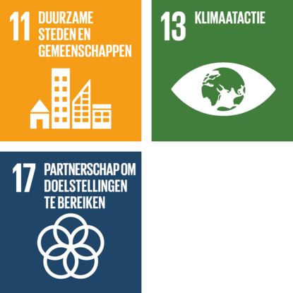 SDG iconen